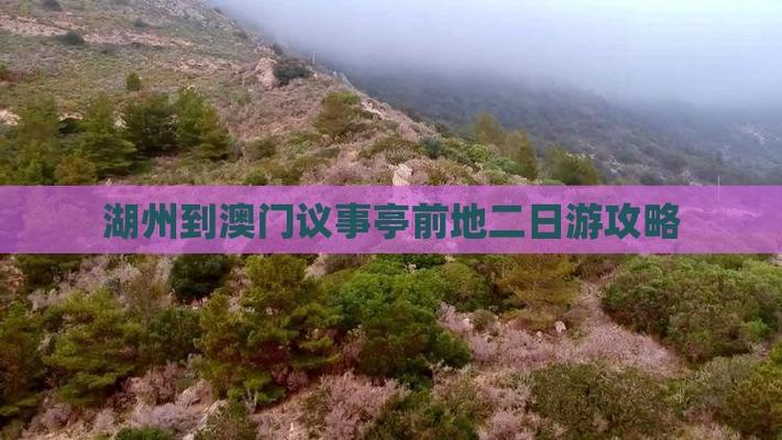 2025新澳门正版免费挂牌灯牌和熊闯入家中上桌偷吃与熊闯入家中上桌偷吃食物